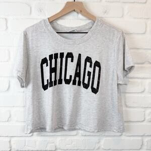 Gray Chicago City Graphic Cropped Tee Medium - Where I'm From - 100% Cotton